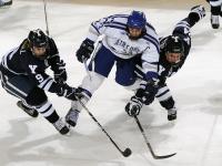 IM电竞游戏-富安健洋冠军级表现，瑞典式防守哲学如何制霸曼城