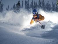 LOL直播-文班亚马冠军级表现，奇才客场碾压雄鹿，新星改写联盟格局