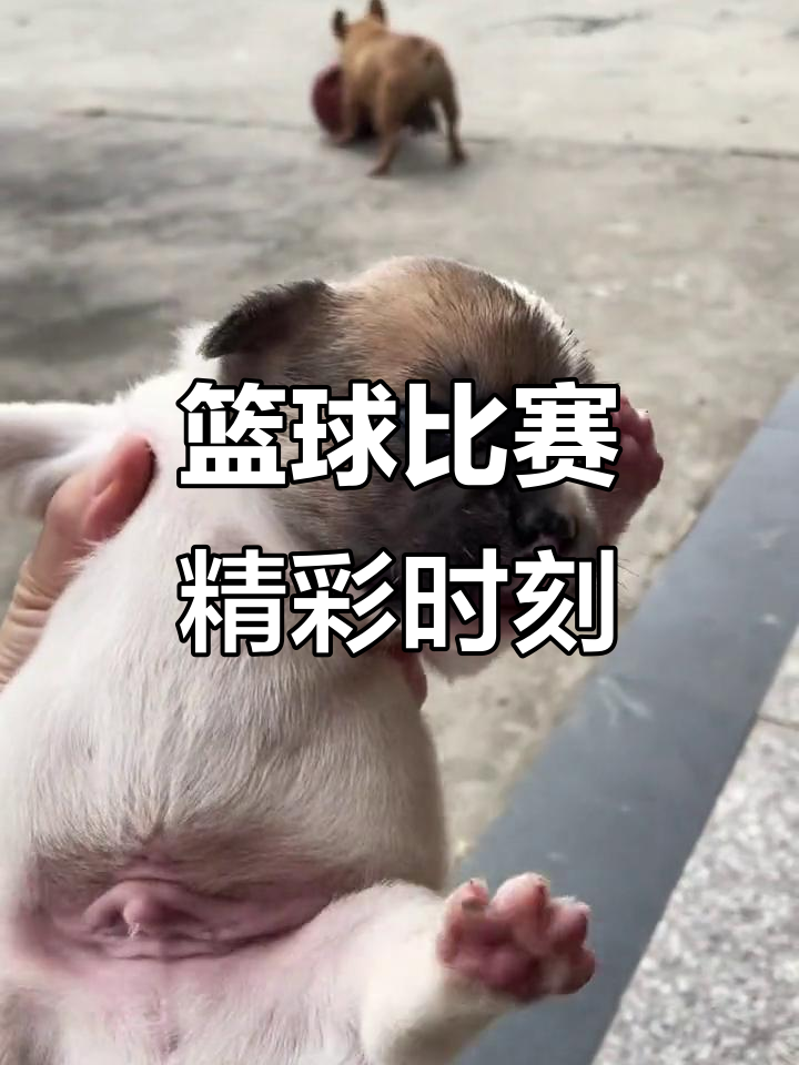 精彩比赛即将开始,谁能笑到最后 精彩比赛即将开始,谁能笑到最后