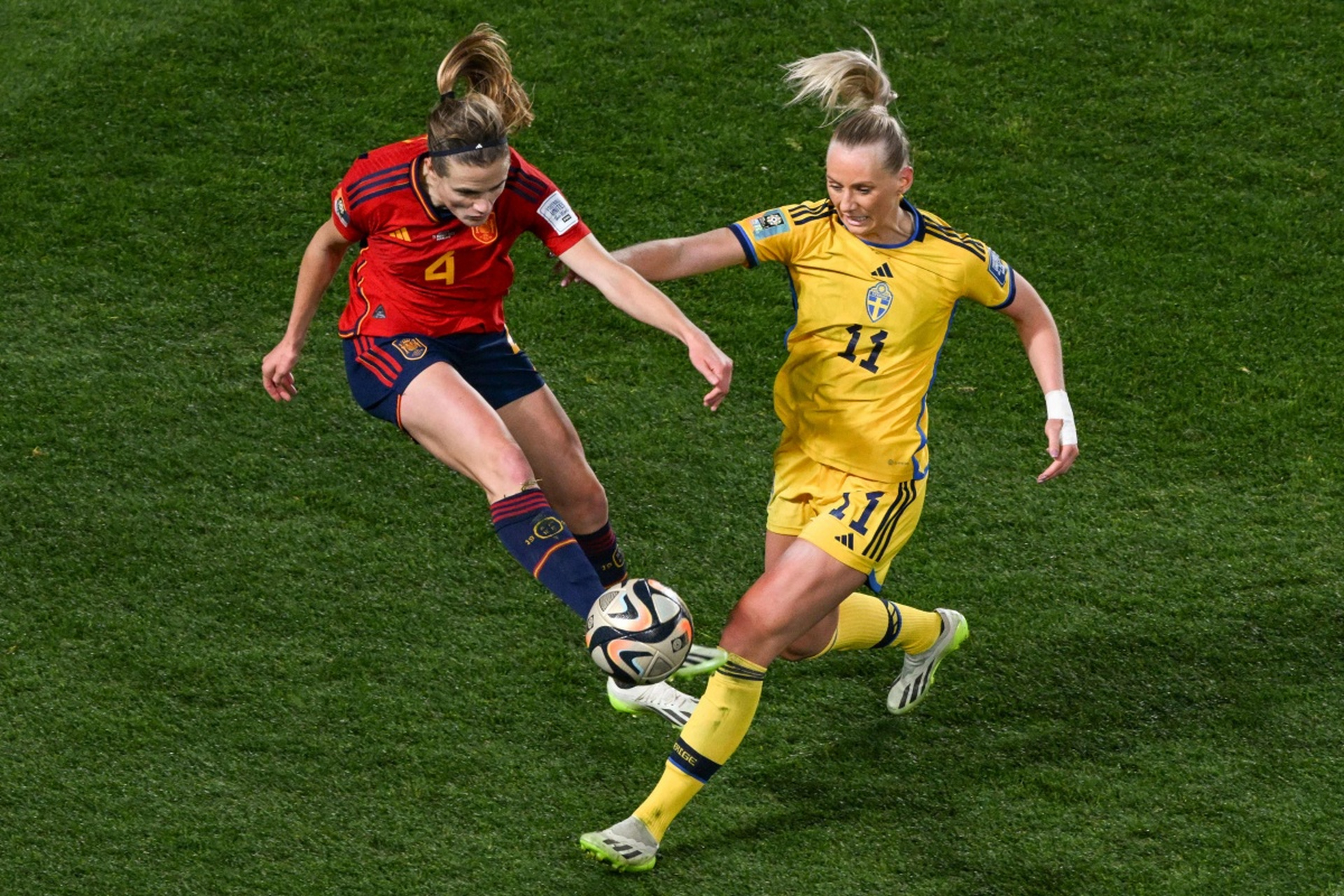 瑞典女子足球队在比赛中实现全胜 瑞典女子足球队在比赛中实现全胜