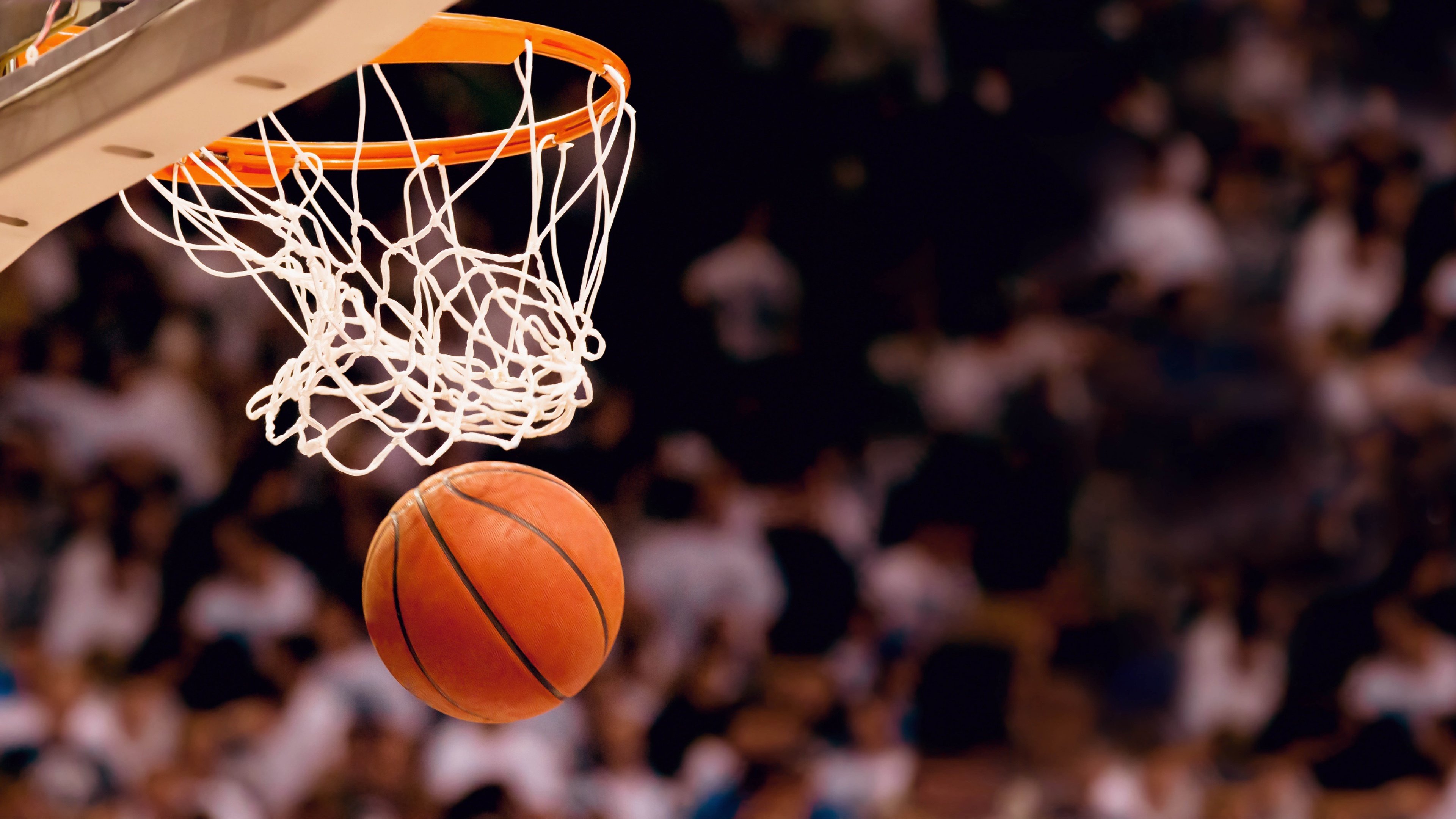沙漠铁骑的复仇,2026世界杯,卢卡库的铁血意志如何碾碎哥斯达黎加的铁桶阵